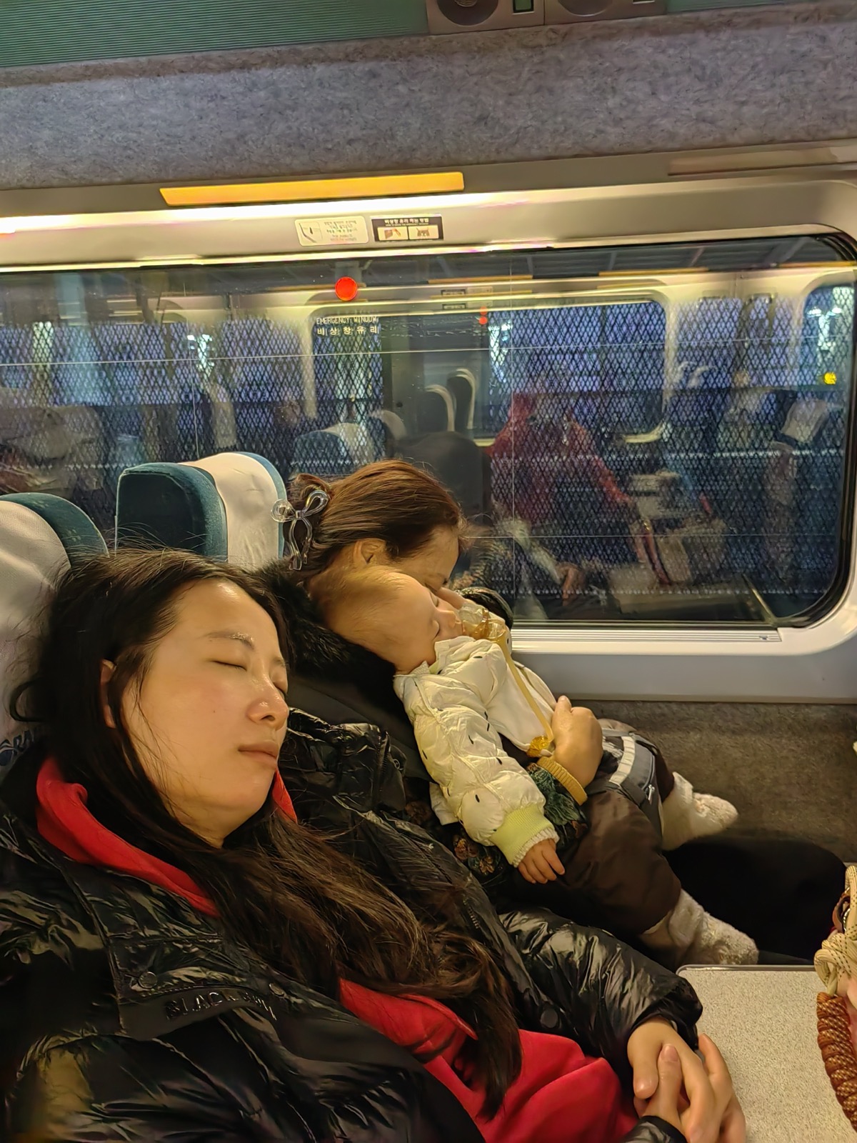 车窗边一一和小甘蔗一起睡着